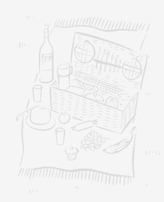 11-Picnic